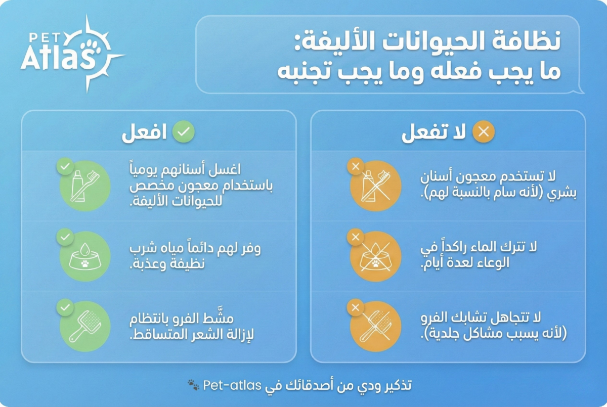 إنفوجرافيك توضيحي لنصائح نظافة الحيوانات الأليفة: دليل "افعل ولا تفعل" المبسط من بيت أطلس، يوضح العادات الصحيحة والخاطئة للعناية اليومية بالأليف.