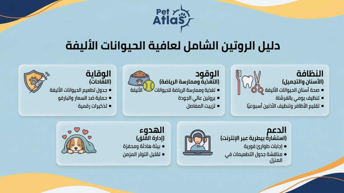 إنفوجرافيك دليل روتين العناية بالحيوانات الأليفة الشامل من أطلس البيطرية: يوضح خطوات التطعيمات، التغذية، صحة الأسنان، إدارة القلق، والاستشارة البيطرية أونلاين.