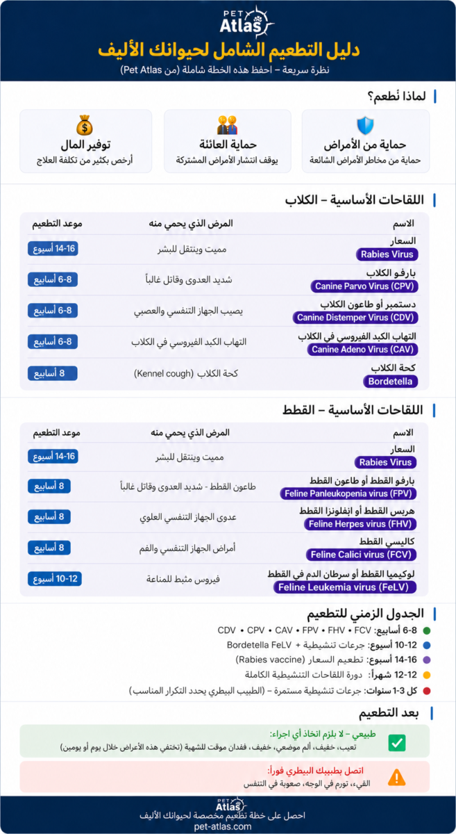 انفوجراف عن تطعيمات الكلاب والقطط — اللقاحات الأساسية وجدول أول جرعة لكل لقاح