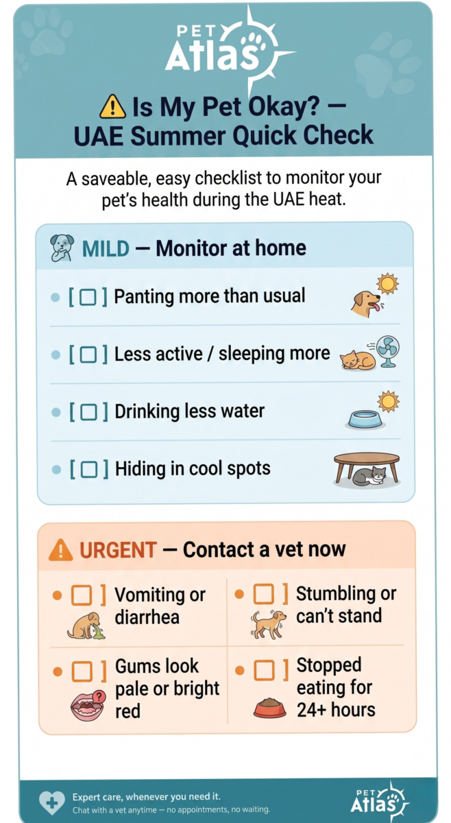 A quick checklist infographic for owners showing both mild and urgent pet overheating signs UAE, and when to contact a vet.