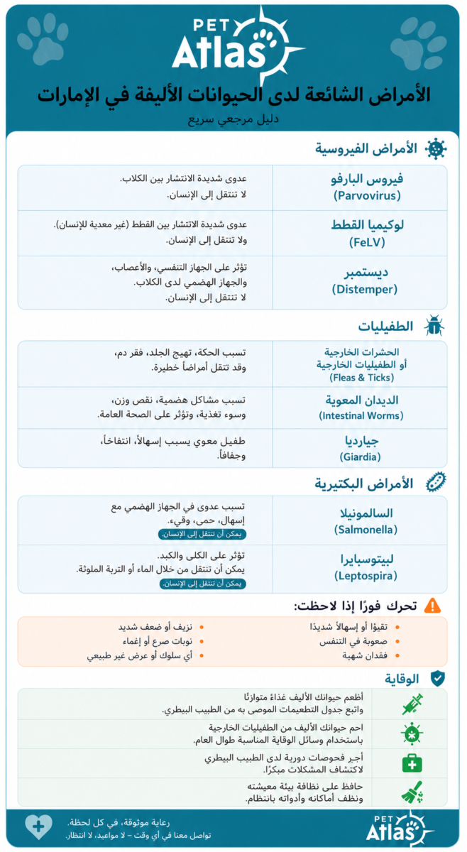 إنفوجرافيك يوضح أشهر أمراض الحيوانات الأليفة الشائعة في الإمارات العربية المتحدة — الأعراض، العلامات التحذيرية، ونصائح الوقاية | أطلس البيطرية