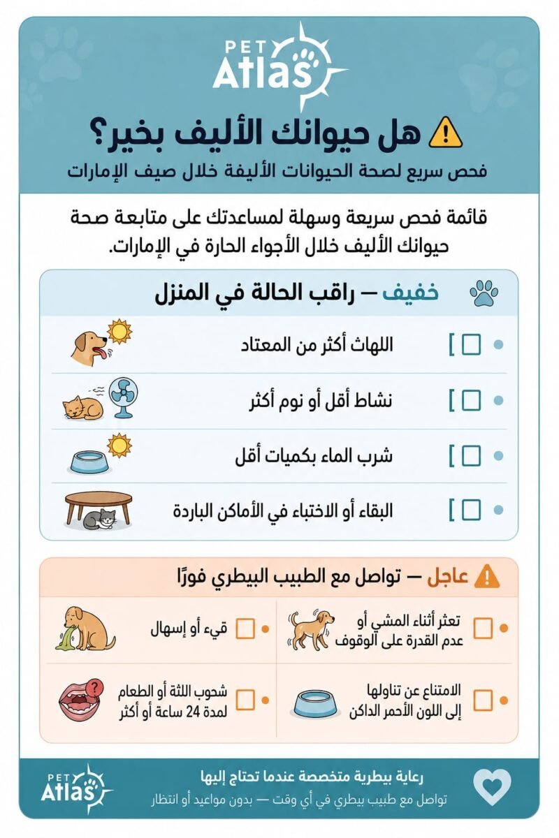 قائمة مرجعية سريعة لأصحاب الحيوانات الأليفة: أعراض ضربة الشمس عند الحيوانات الأليفة في الامارات — الخفيفة والخطيرة ومتى تتصل بالطبيب البيطري
