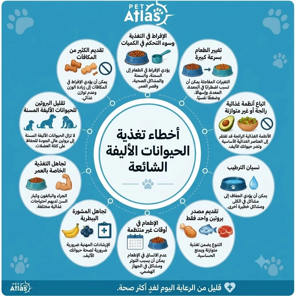 أشهر أخطاء تغذية الحيوانات الأليفة