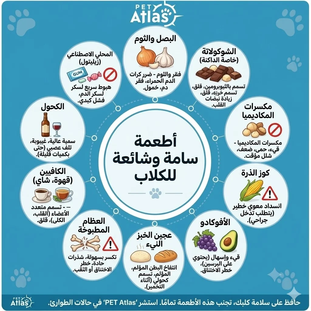 اكلات ممنوعة للكلاب