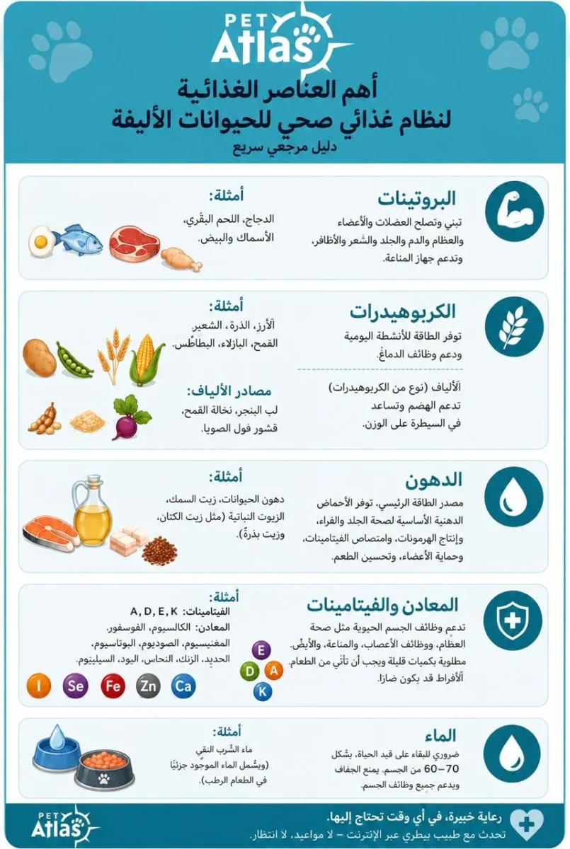 طعام الحيوانات الأليفة