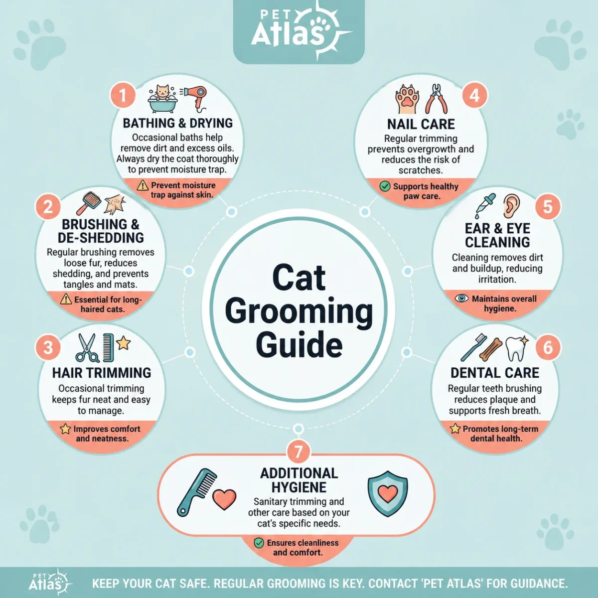 cat grooming in Dubai