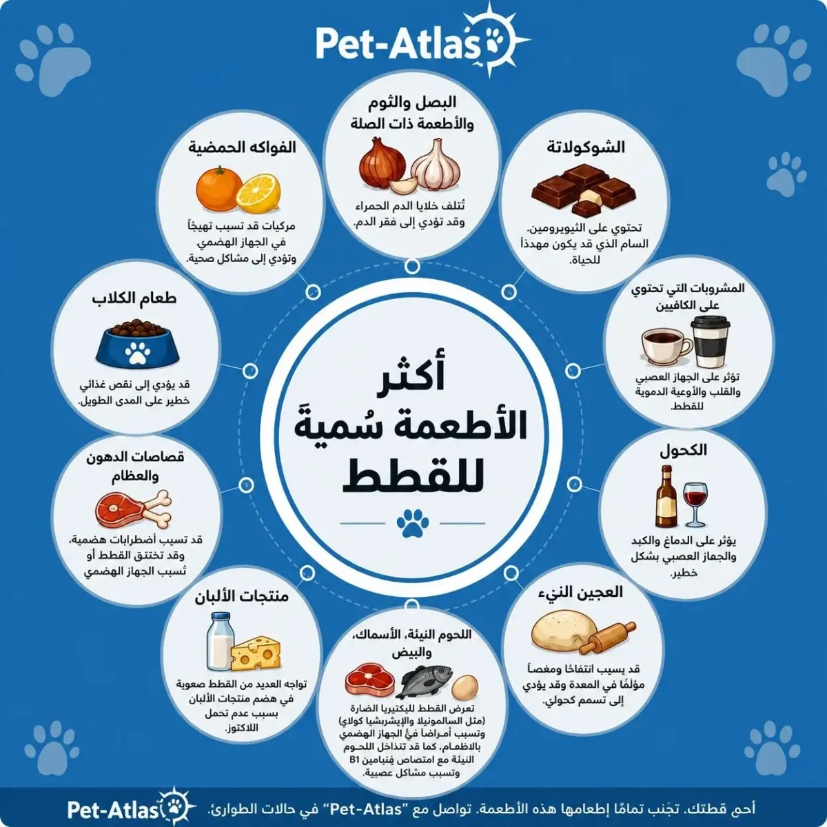الأكل الممنوع للقطط
