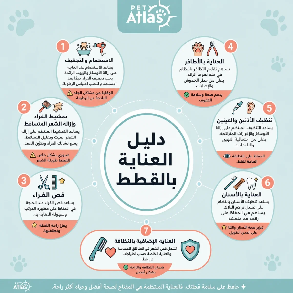 دليل العناية بالقطط