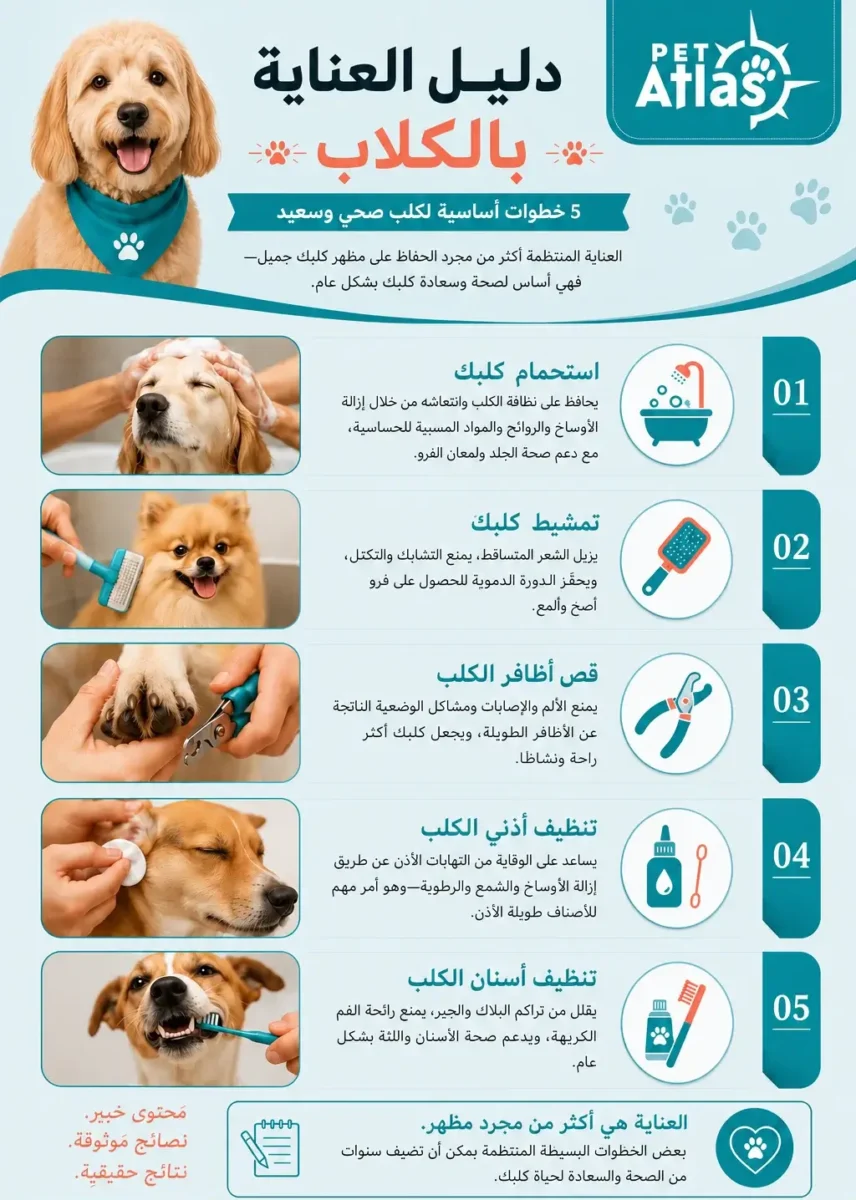 دليل العناية بالكلاب