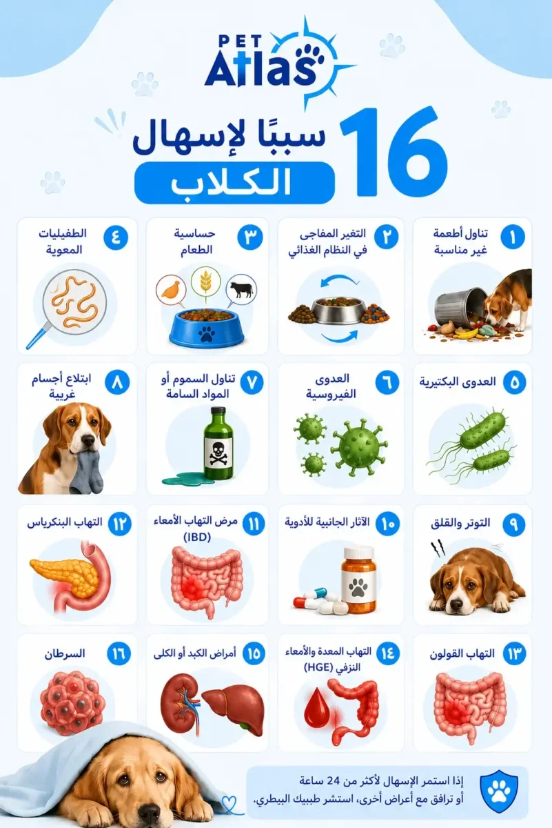 أسباب إسهال الكلاب