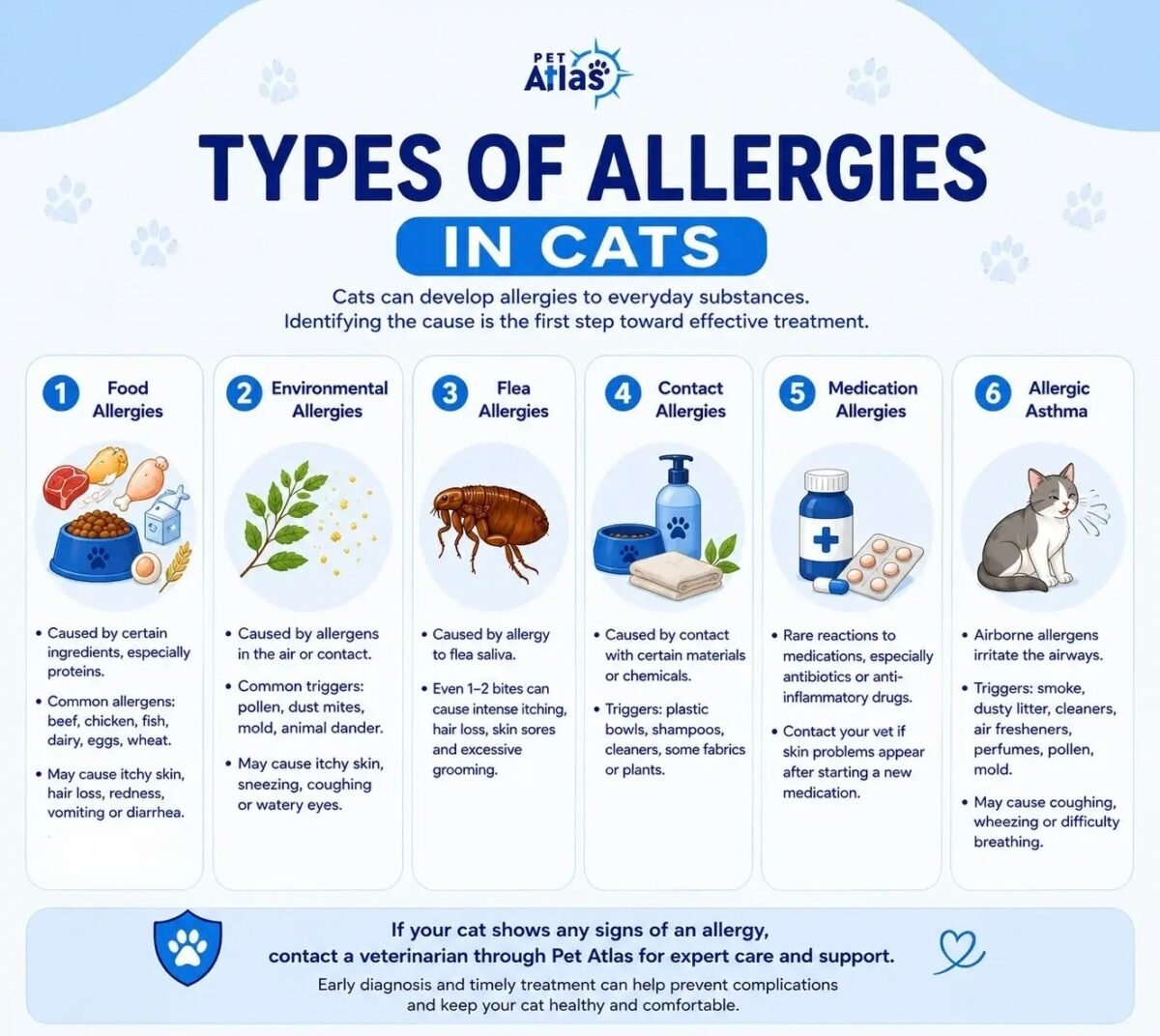 cat allergies