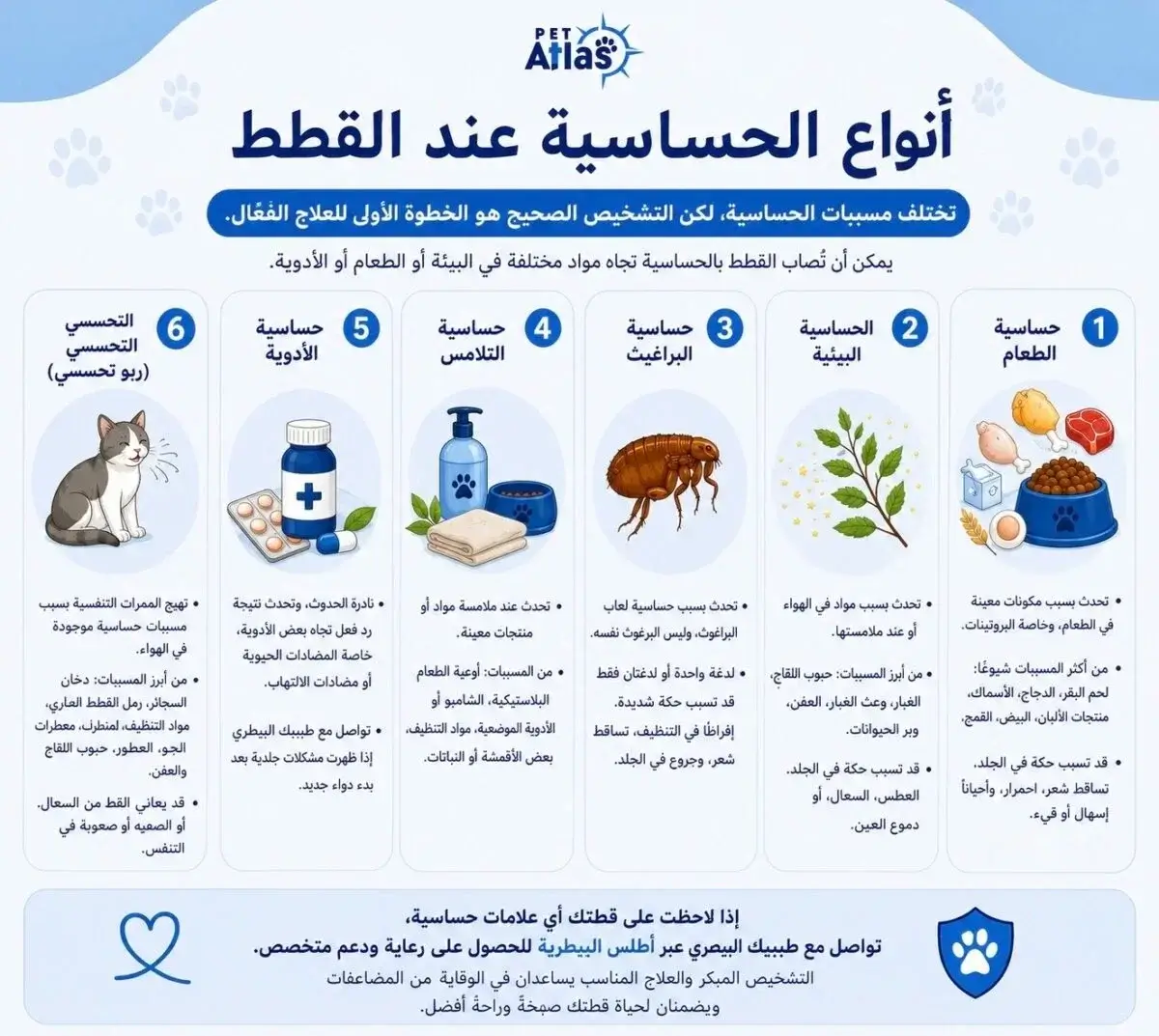 أسباب حساسية القطط