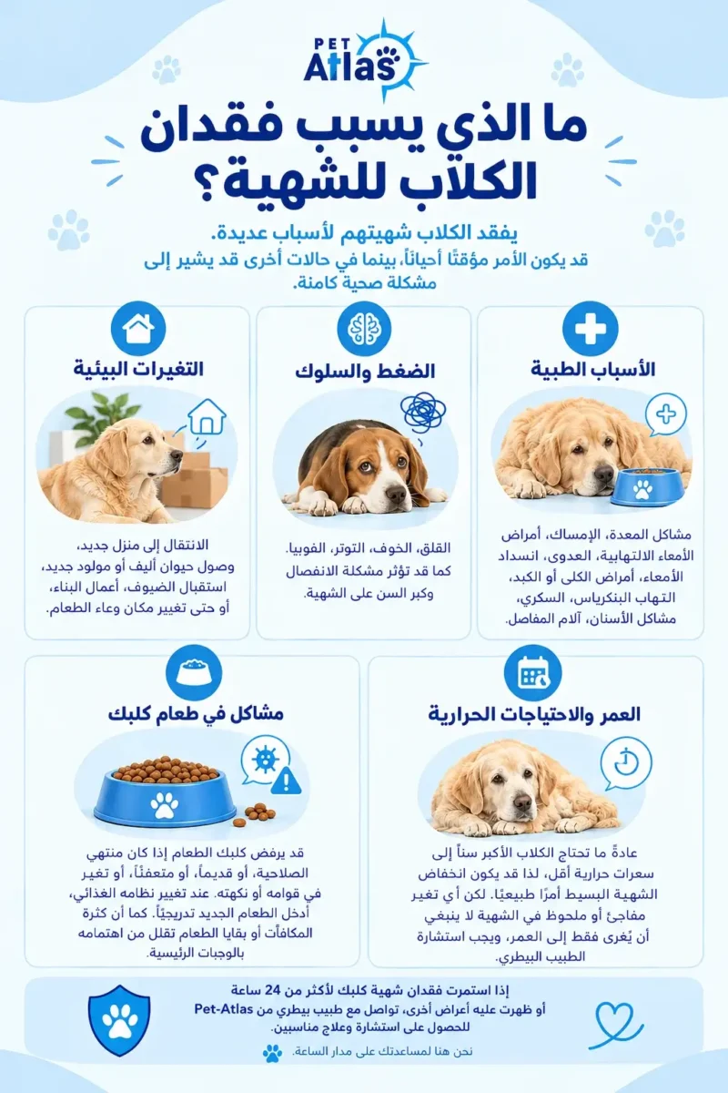أسباب فقدان الشهية عند الكلاب
